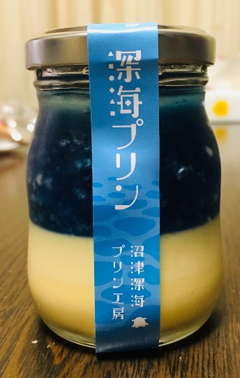 生き物ルーム第31