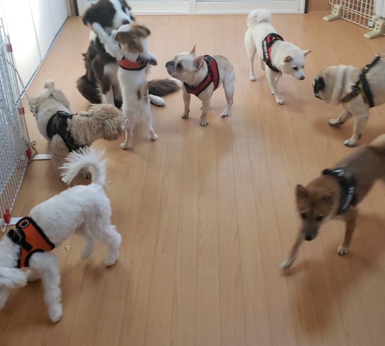 生き物ルーム第31