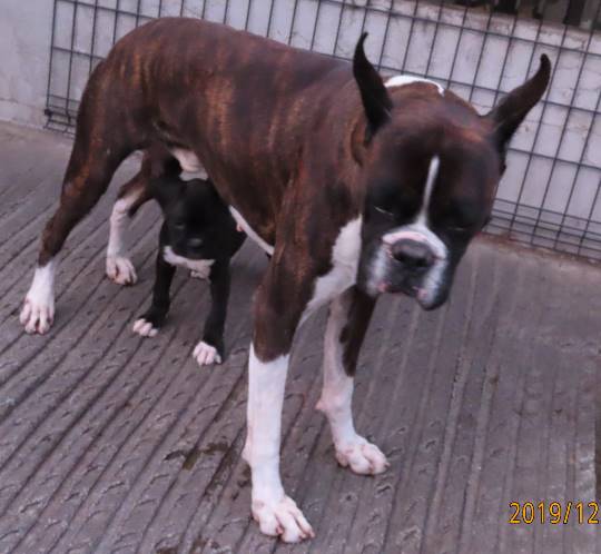 生き物ルーム第31