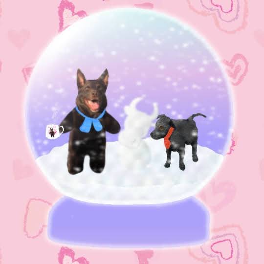 生き物ルーム第30