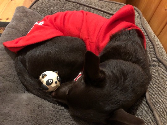 生き物ルーム第31