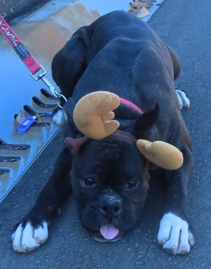 生き物ルーム第31