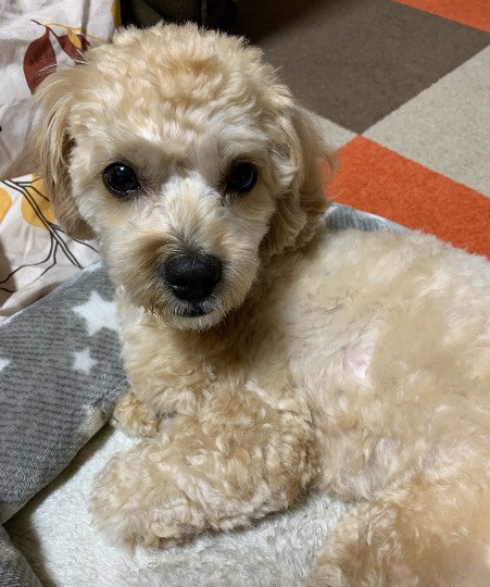 生き物ルーム第30