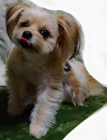 生き物ルーム第30