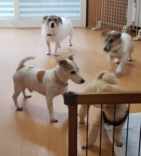 生き物ルーム第30