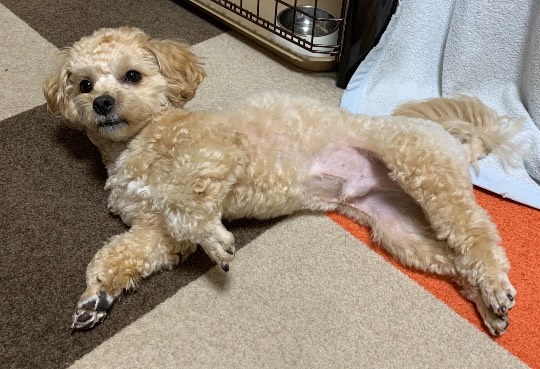 生き物ルーム第31