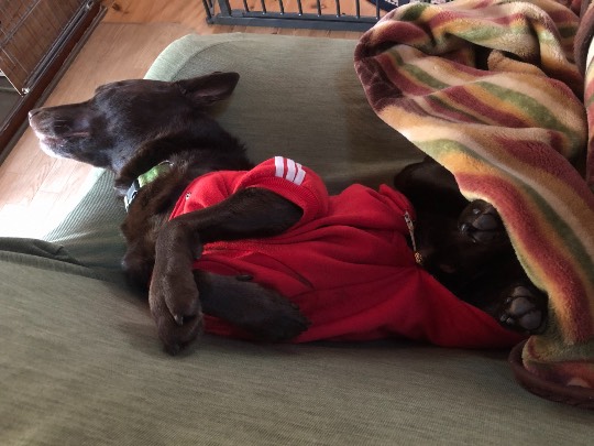 生き物ルーム第30