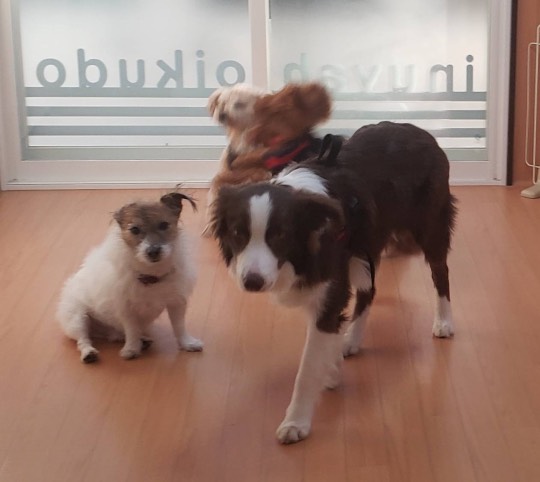 生き物ルーム第31