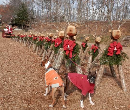 生き物ルーム第31