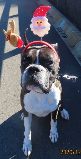 生き物ルーム第31