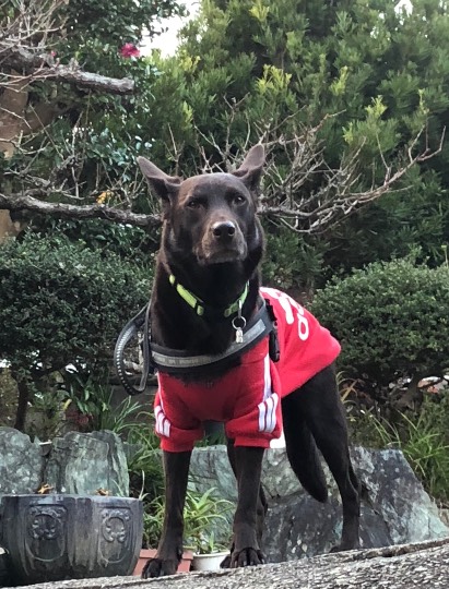 生き物ルーム第30