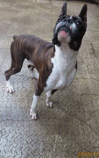 生き物ルーム第31