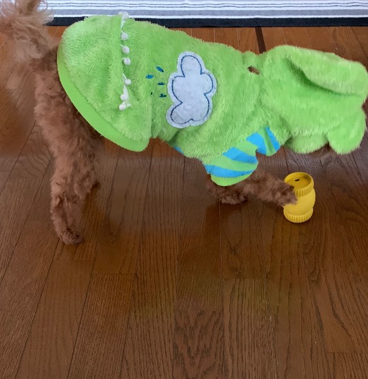 生き物ルーム第31