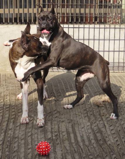 生き物ルーム第31