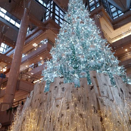 雑談クリスマス会 2020