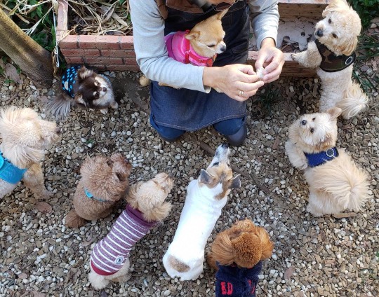 生き物ルーム第31