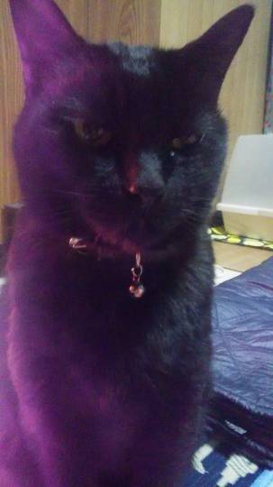 生き物ルーム第31