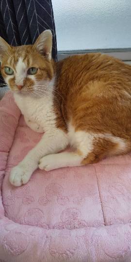 生き物ルーム第30