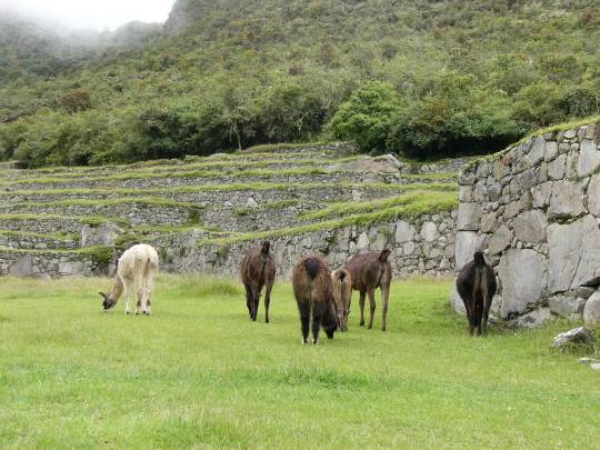 生き物ルーム第31