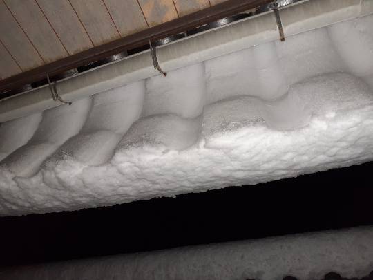 つぶやき56 ゴローはいまさら