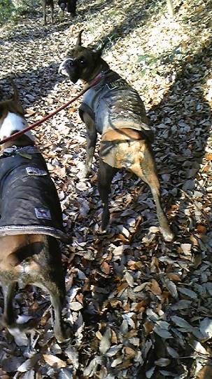 生き物のルーム第32