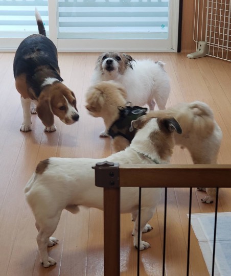 生き物ルーム第30