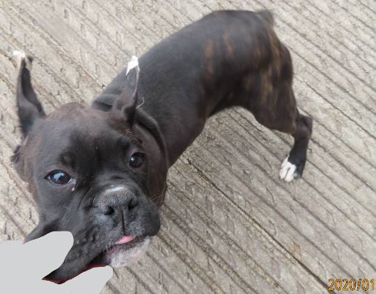 生き物のルーム第32