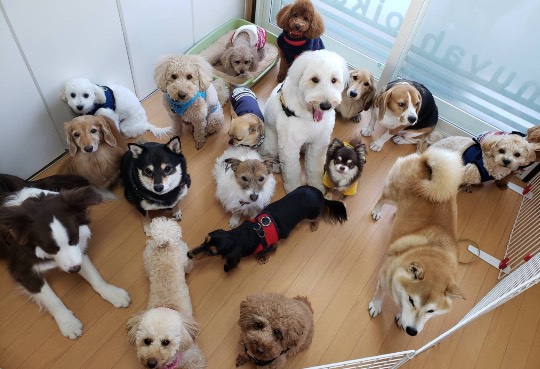 生き物ルーム第31