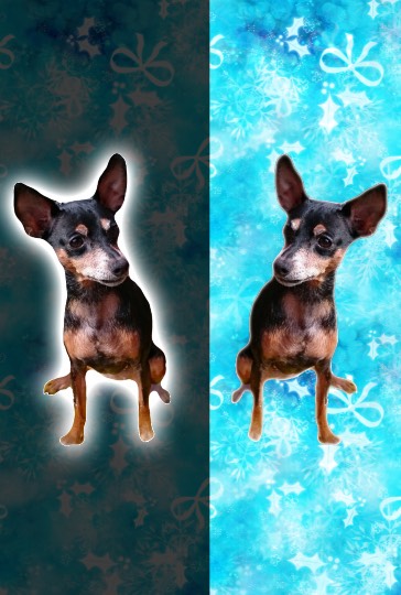 生き物ルーム第30