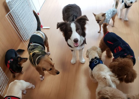 生き物ルーム第31