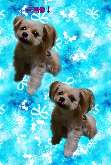 生き物ルーム第30