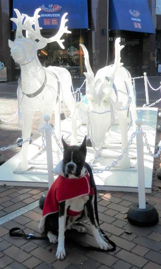 生き物ルーム第31