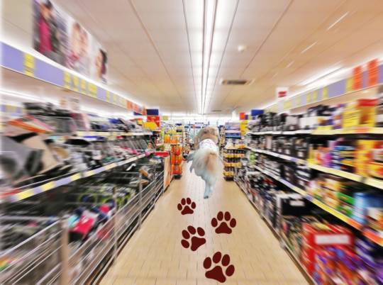 生き物ルーム第30