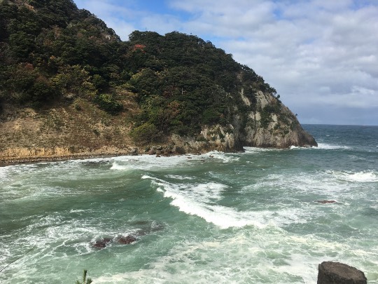 つぶやき56 ゴローはいまさら