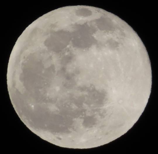 南関東トピック Vol.1.5.1