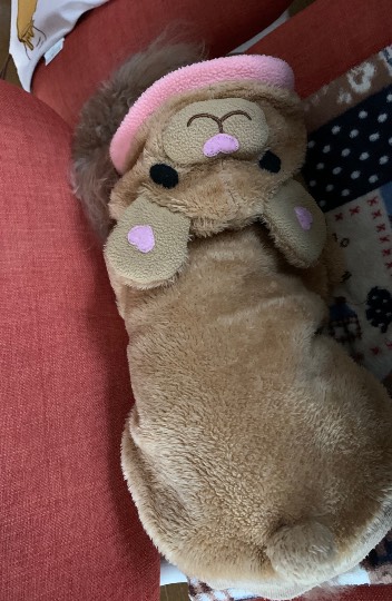 生き物ルーム第31