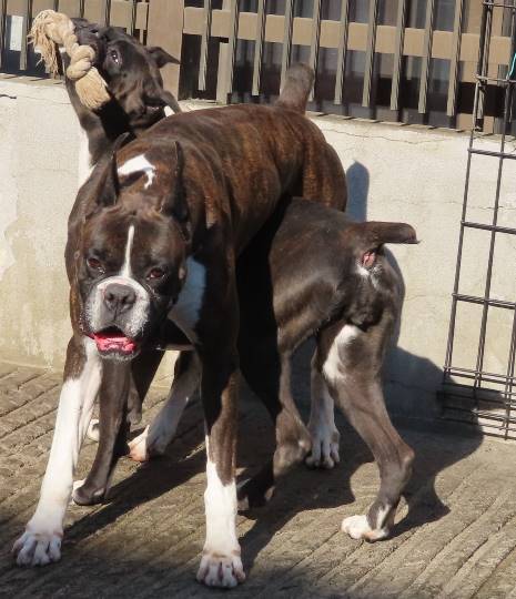 生き物のルーム第32