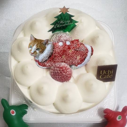 雑談クリスマス会 2020