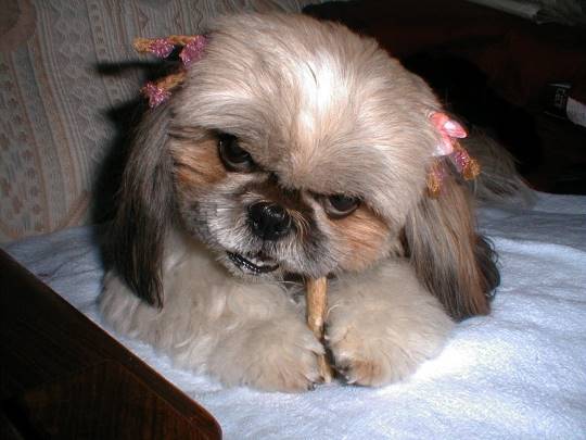 生き物ルーム第31