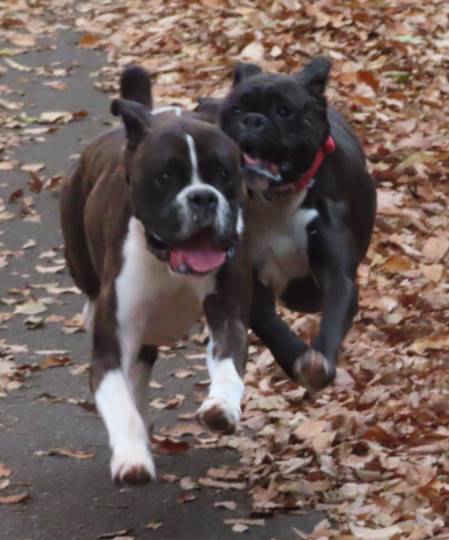 生き物ルーム第31