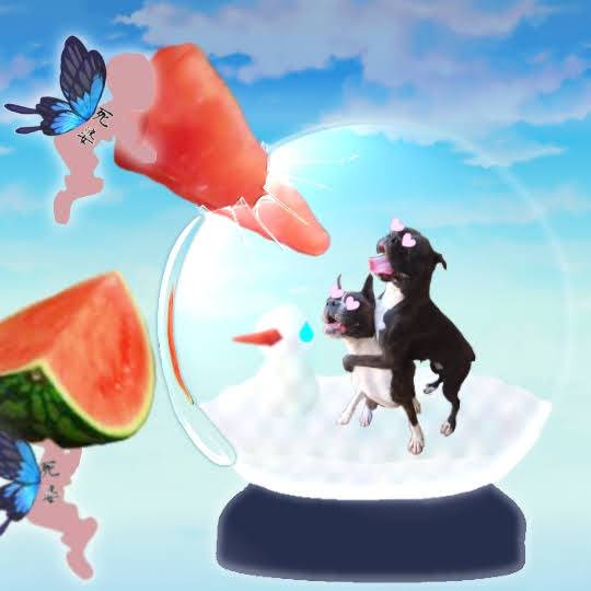 生き物ルーム第30