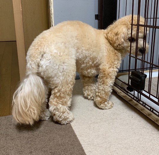 生き物ルーム第30