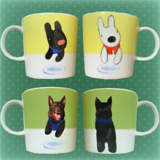 生き物ルーム第30