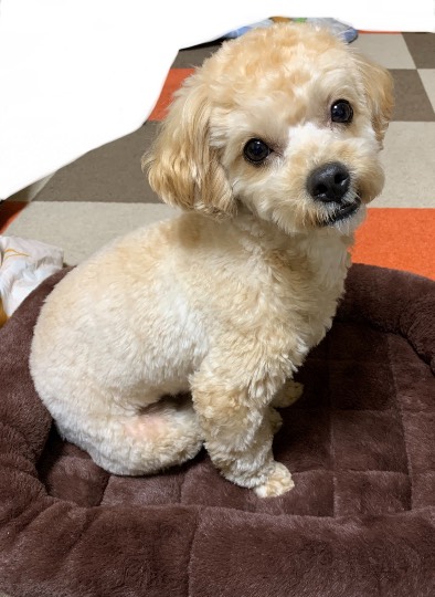 生き物のルーム第32