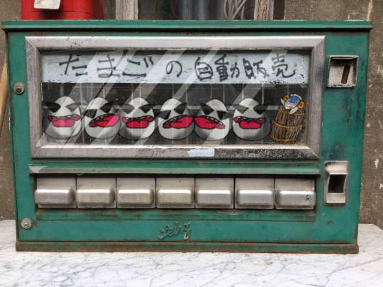 生き物ルーム第31