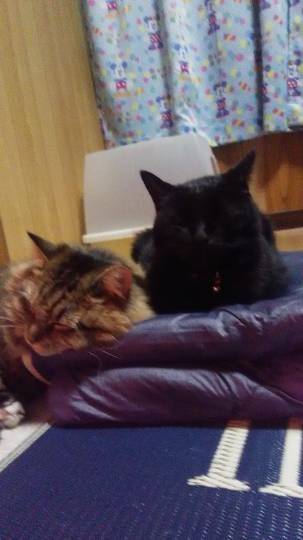 生き物ルーム第30