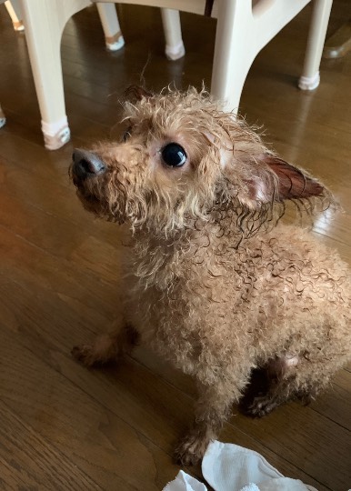 生き物のルーム第32