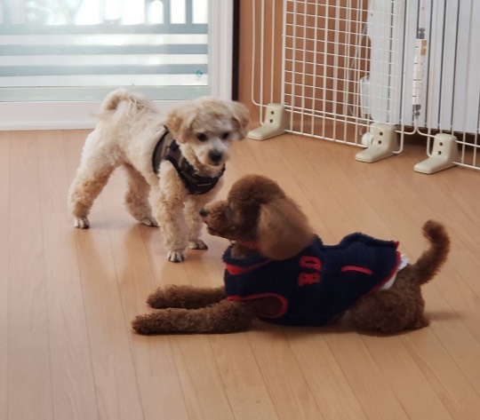 生き物ルーム第31