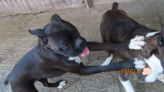 生き物ルーム第31