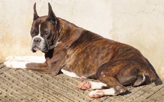 生き物のルーム第32